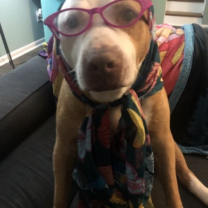 Fundraising Page: Kristen Connelly